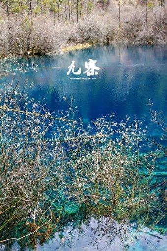 社区公益培训系统功能说明