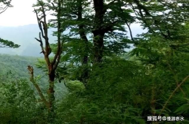 天天爱消除