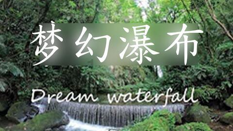 强大的狮子拼图