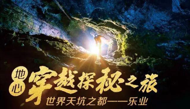 客厅养盆琴叶榕，高雅大气还净化空气，如何养？游戏画面