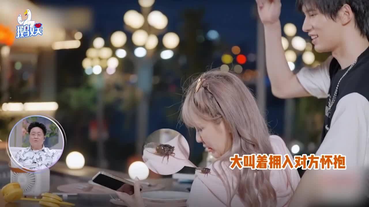 变异动物之战