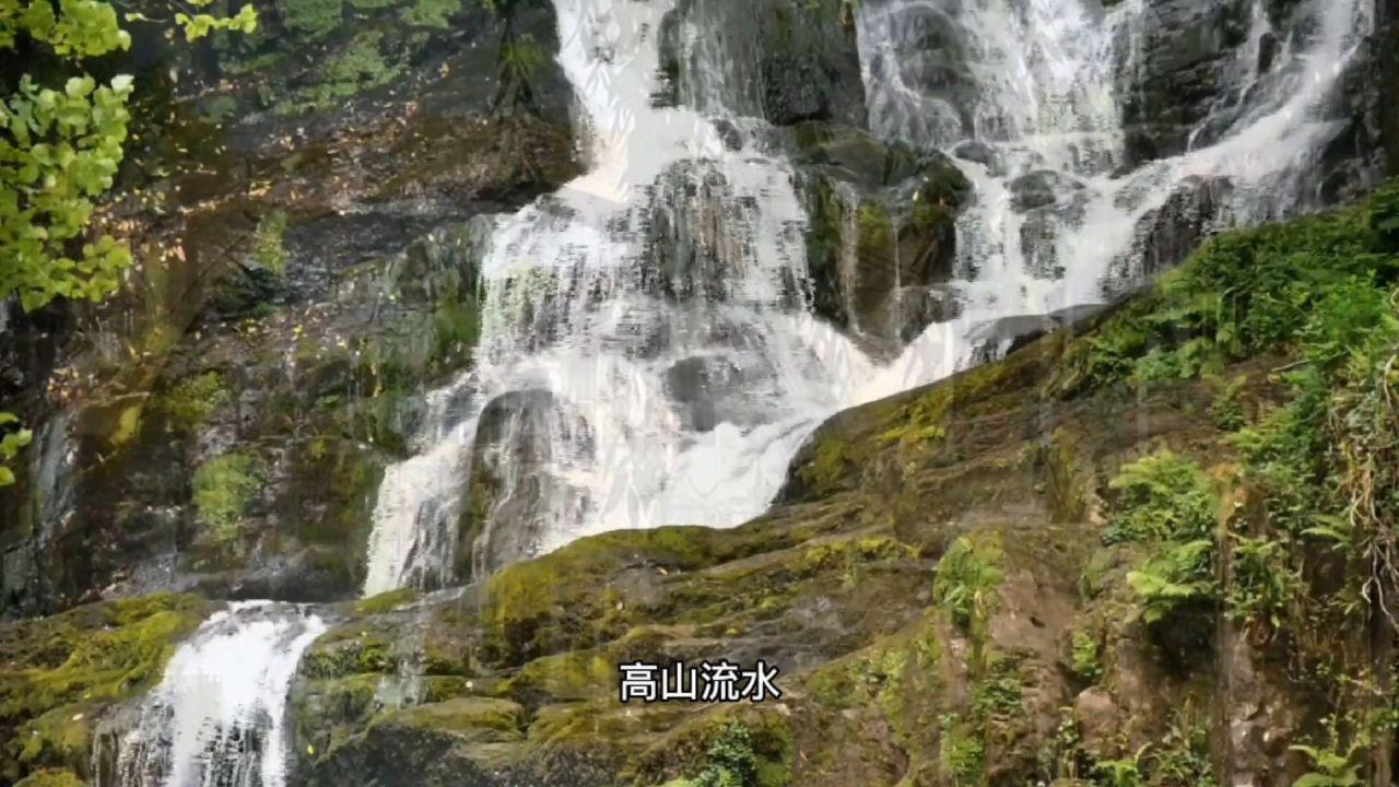 她将身体麻醉6小时,任由观众处置,期间没有拥抱只有暴徒的狂欢