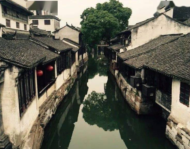 铁笼中的小鹿逃脱
