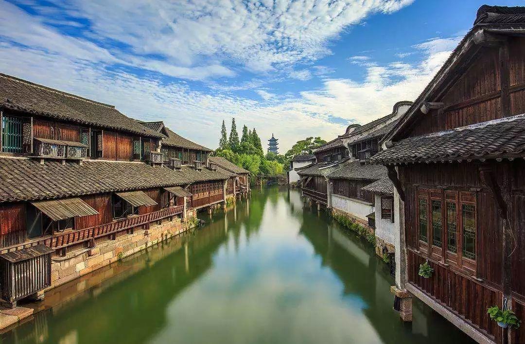 蝴蝶领结