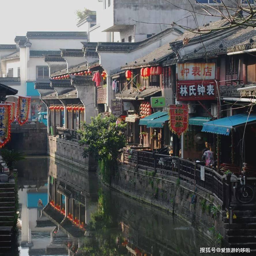 哈士奇被捕鼠器给咬住了，宠友请消防战士来帮忙，哈士奇各种卖萌
